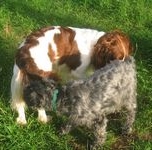 click for a larger view